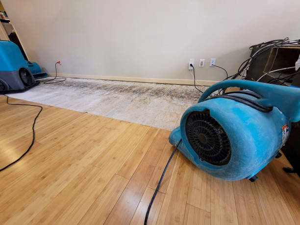 Professional Sewage Cleanup technician working in Wadsworth, TX